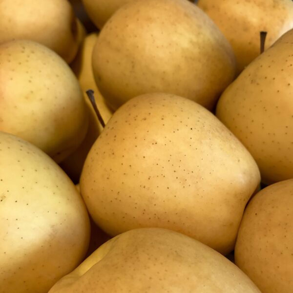 Pomme Golden