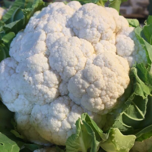 Chou-fleur