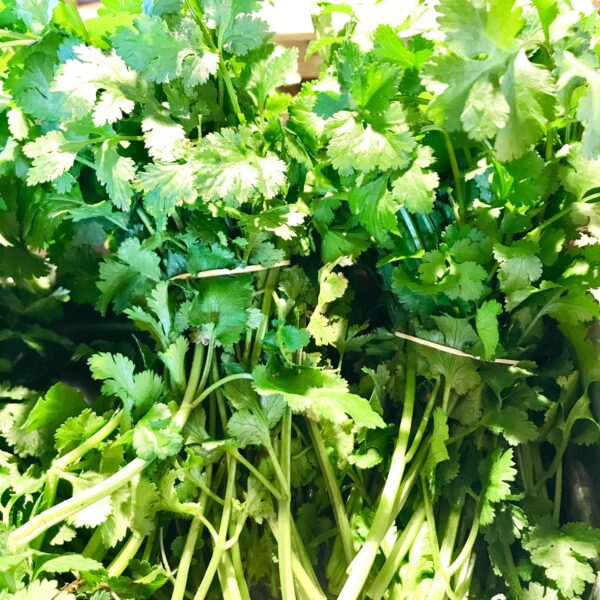 Herbes Aromatiques Fraiches