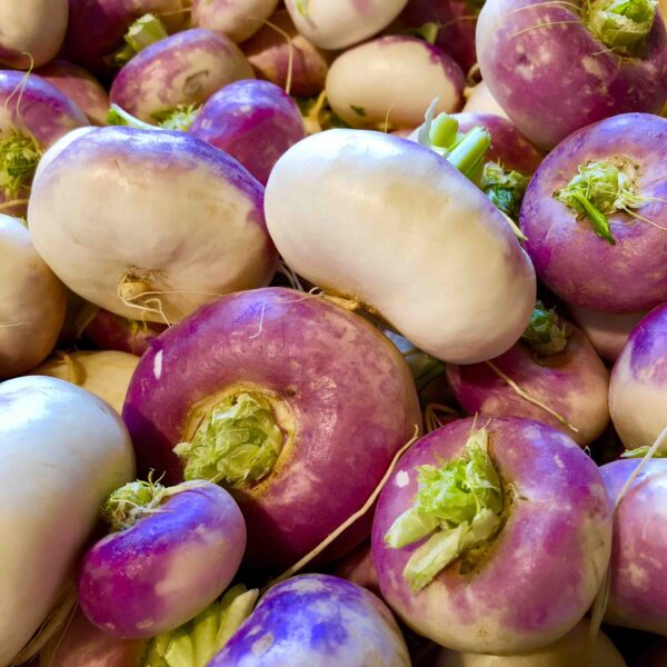 Navet Violet