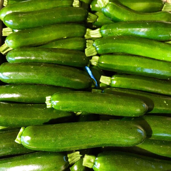 Courgette