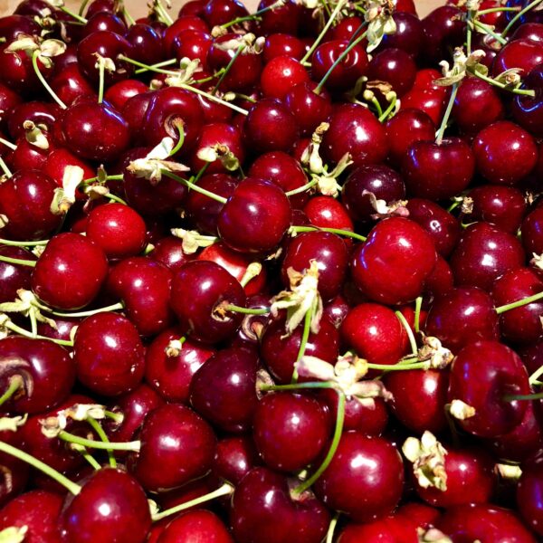 Cerise
