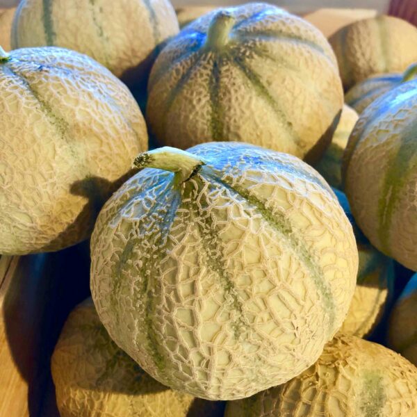 Melon