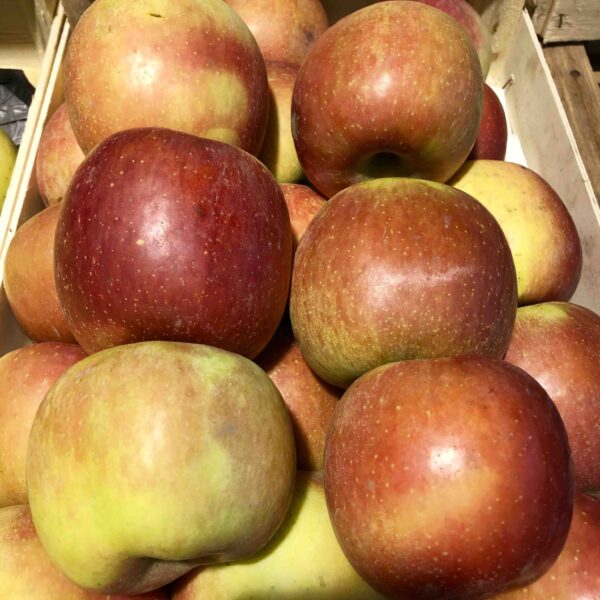 Pomme fuji